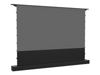 Multibrackets M - Projektionsskärm med golvställ - LS, elektrisk, stigande, RS232 - fristående - motoriserad - 100" (254 cm) - 16:9 - ALR UST - svart 7350105218613