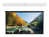 Da-Lite DescenderPro - Projektorduk - 107 x 190 cm, non-tensioned - takmonterbar - motoriserad - 230 V - 86" (218 cm) - 16:9 - Matte White - RAL 9016 10141743