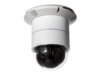 D-Link DCS 6616 - Nätverksövervakningskamera - PLZ - färg - 720 x 576 - motoriserad - ljud - LAN 10/100 - MPEG-4, MJPEG, 3GPP, H.264 DCS-6616