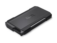 SanDisk Professional PRO-BLADE TRANSPORT - SSD - 1 TB - extern (portabel) - USB 3.2 Gen 2x2 (USB-C kontakt) SDPM2NB-001T-GBAND