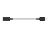 Lenovo USB-C to Slim-tip Cable Adapter - Adapter för effektkontakt - USB-C hona till ström hane 4X90U45346