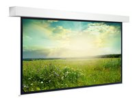 Projecta Descender Large Electrol - Yta på projektorduk - 216" (550 cm) - 4:3 - Matte White 10141455