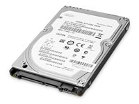 HP Enterprise - Hårddisk - 1 TB - 3.5" - SATA 6Gb/s - 7200 rpm - för Workstation Z2 G4, Z2 G5, Z2 G8, Z2 G9, Z4 G4, Z440, Z6 G4, Z8 G4; ZCentral 4R (3.5") W0R10AA
