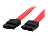 StarTech.com 6in SATA Serial ATA Cable - SATA cable - Serial ATA 150/300 - SATA (F) to SATA (F) - 5.9 in - red - SATA6 - SATA-kabel - Serial ATA 150/300 - SATA (hona) till SATA (hona) - 15 cm - röd - för P/N: 10P6G-PCIE-SATA-CARD, 2P6G-PCIE-SATA-CARD, 4P6G-PCIE-SATA-CARD, 6P6G-PCIE-SATA-CARD SATA6