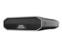 SanDisk Professional - Hårddisk - Enterprise - 12 TB - extern (desktop) - USB 3.2 Gen 2 (USB-C kontakt) - 7200 rpm SDPHF1A-012T-MBAAD