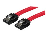 StarTech.com 30 cm SATA-kabel med lås - SATA-kabel - Serial ATA 150/300/600 - SATA (R) till SATA (R) - 30 cm - sprintlåsning - röd - för P/N: 10P6G-PCIE-SATA-CARD, 2P6G-PCIE-SATA-CARD, 4P6G-PCIE-SATA-CARD, 6P6G-PCIE-SATA-CARD LSATA12